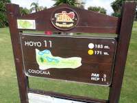 Info